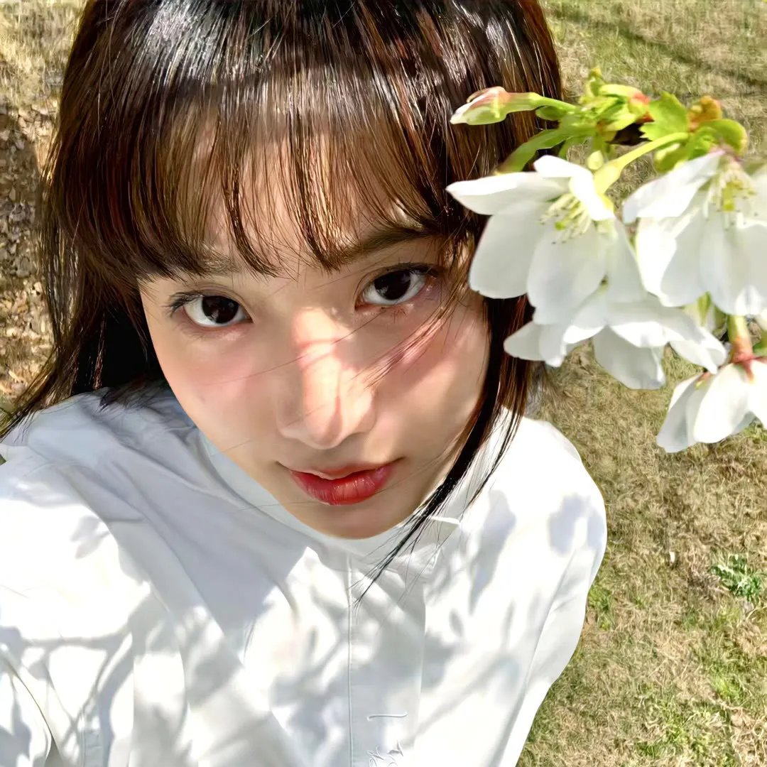 神兽金刚之青龙再现 在线观看